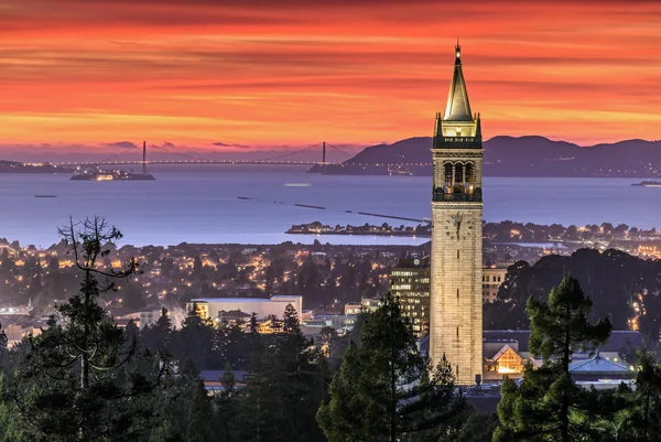 Residential street in Berkeley, CA where Oakland Mobile Detailing provides mobile car detailing