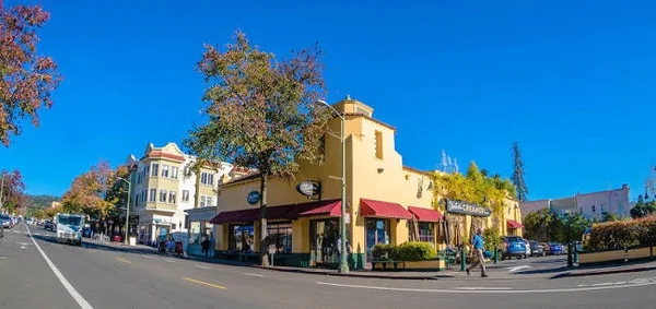 Tree-lined residential street in Piedmont, CA where Oakland Mobile Detailing provides mobile car detailing