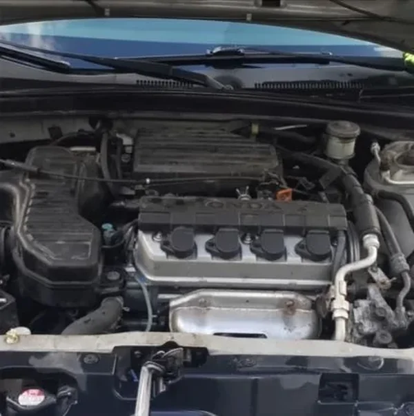 Engine bay being cleaned during a mobile detail in Richmond, CA